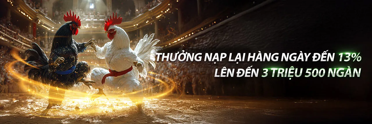 Cá Cược Thể Thao Ranvip